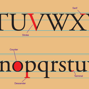 Typography 1 Module